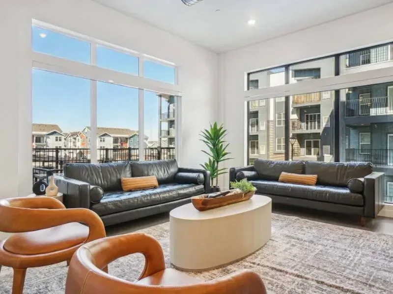 Bright living room with two black leather sofas, orange accent chairs, a plant, and large windows.