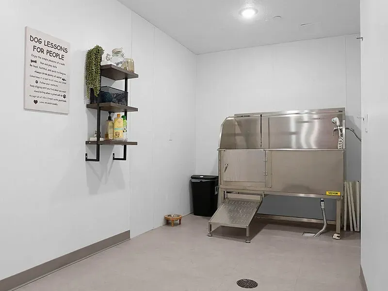 Stainless steel pet washing station with a hose in a small utility room.