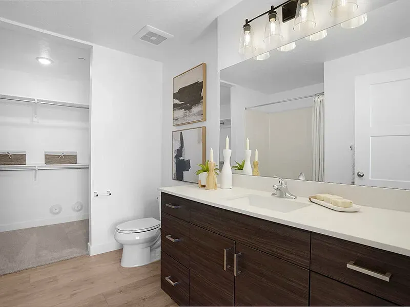 Modern apartment bathroom with dark wood vanity, white countertop, large mirror, and open closet space.