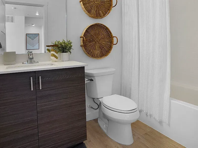 Bathroom with dark wood vanity, white toilet, and a tub with a white curtain.