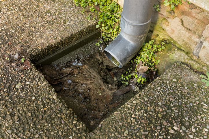 Is My French Drain Clogged? 