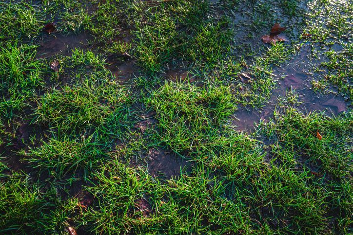 Spring Yard Damage Isn’t Just Mud - It’s a Drainage Design Issue