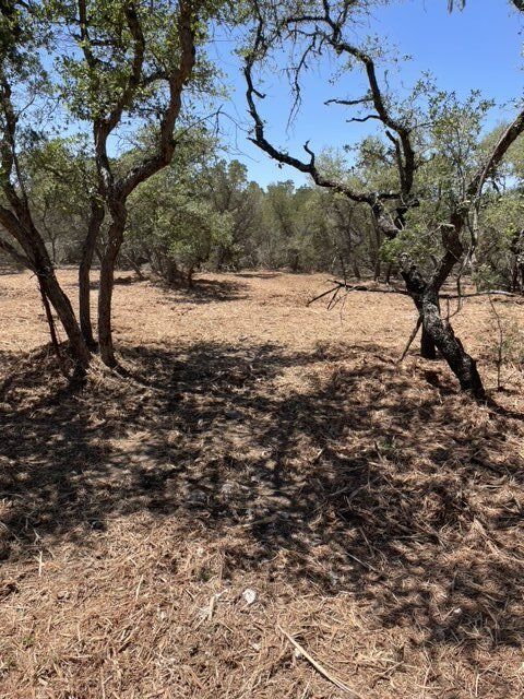 Land clearing in Boerne TX by Langenberg Specialty Services