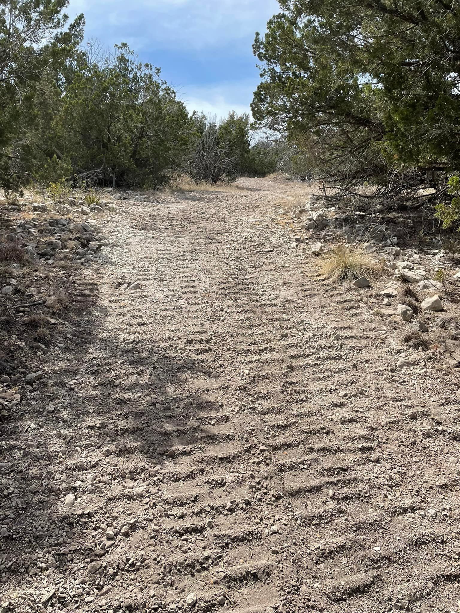 Road clearing in Boerne TX by Langenberg Specialty Services