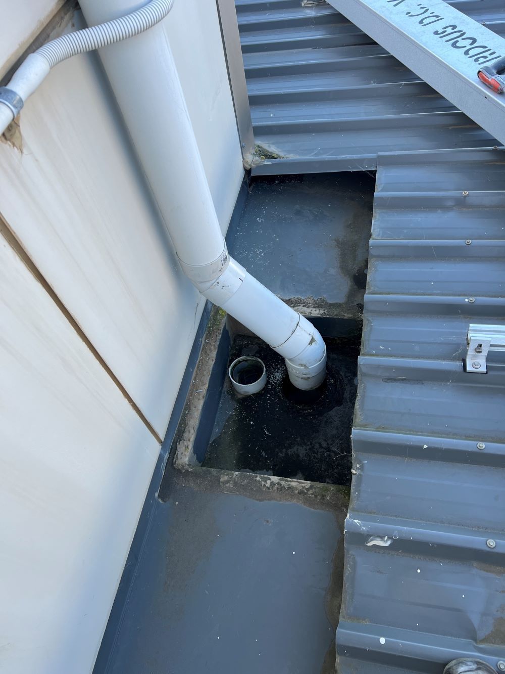 A Kitchen Sink Filled With Dirty Dishes and Bottles of Cleaning Supplies — Fig Facility Services in Lara, VIC
