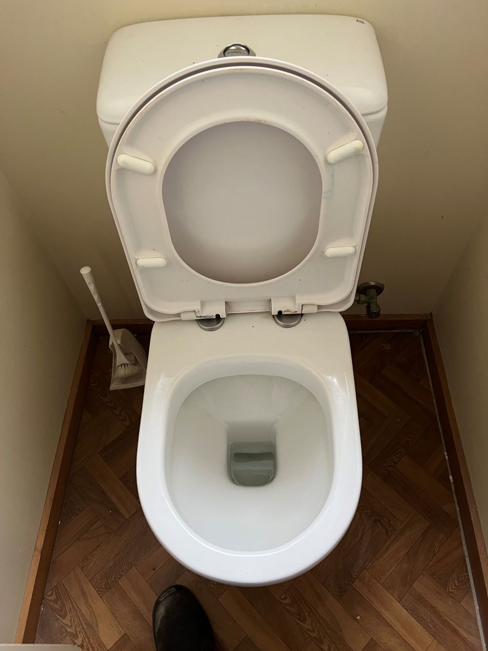 A White Toilet is Sitting on a Wooden Floor Next to a Toilet Brush — Fig Facility Services in Lara, VIC