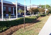 Commercial Landscape, Landscaping Services in Myrtle Beach, SC