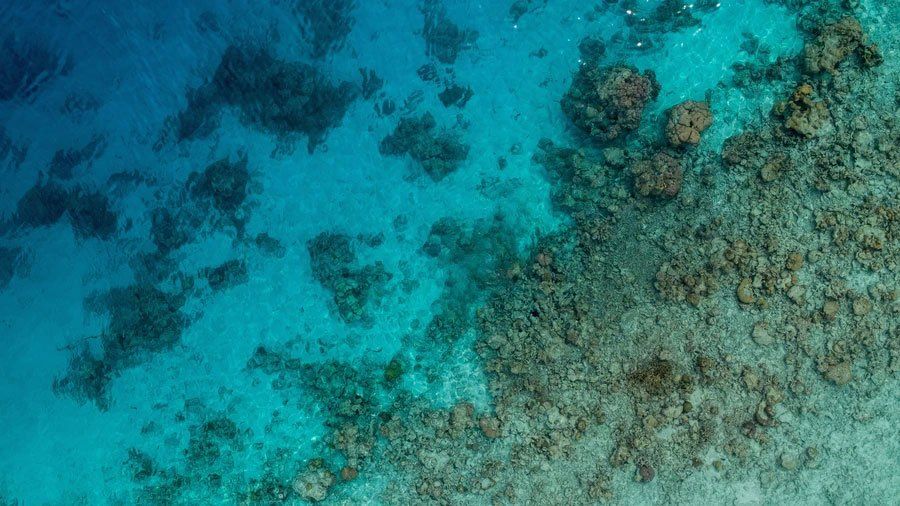 9 Best Underwater Drones in Australia