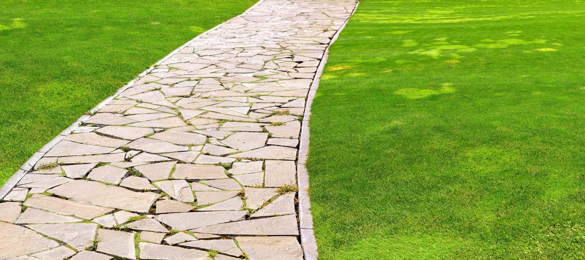 Stone path winding through lush green grass.