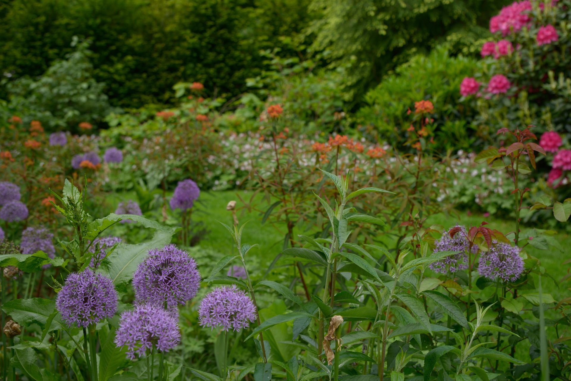 Sebastian Raschauer, Landschaftsarchitekt, Garten, Privatgarten,  Gartengestaltung, Umgestaltung, Neugestaltung, Bauantrag, Genehmigungsplanung, Werkplanung, Bauleitung, Projektleitung, Terrassen