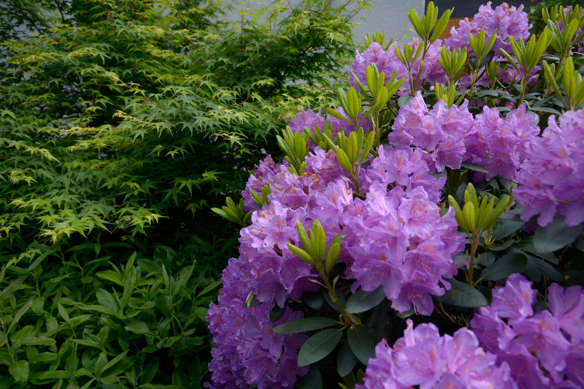 Sebastian Raschauer, Landschaftsarchitekt, Garten, Privatgarten,  Gartengestaltung, Umgestaltung, Neugestaltung, Bauantrag, Genehmigungsplanung, Werkplanung, Bauleitung, Projektleitung, Terrassen
