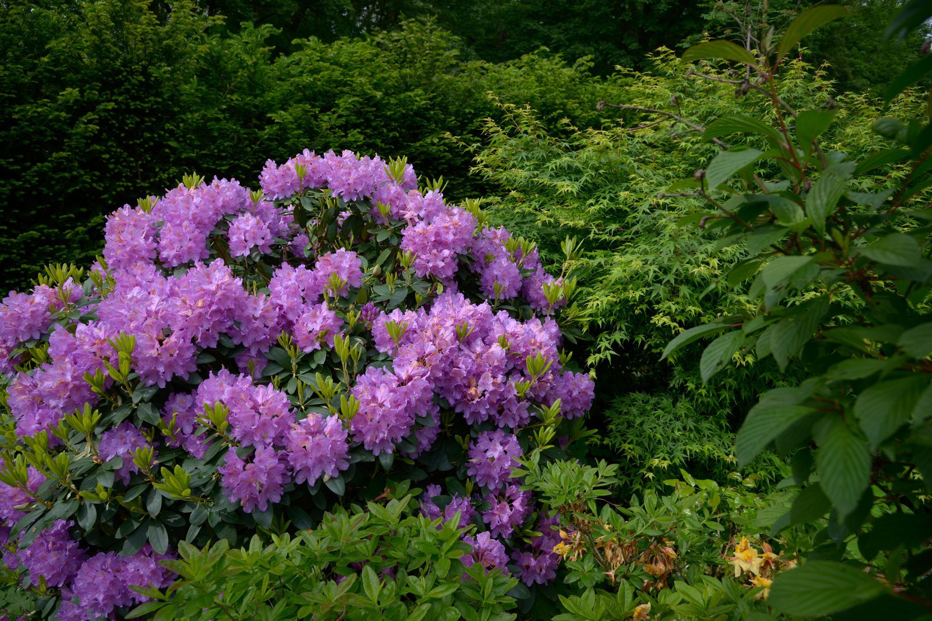 SebasSebastian Raschauer, Landschaftsarchitekt, Garten, Privatgarten,  Gartengestaltung, Umgestaltung, Neugestaltung, Bauantrag, Genehmigungsplanung, Werkplanung, Bauleitung, Projektleitung, Terrassentian Raschauer, Landschaftsarchitekt, Garten, Privatgarten,  Gartengestaltung, Umgestaltung, Neugestaltung, Bauantrag, Genehmigungsplanung, Werkplanung, Bauleitung, Projektleitung, Terrassen