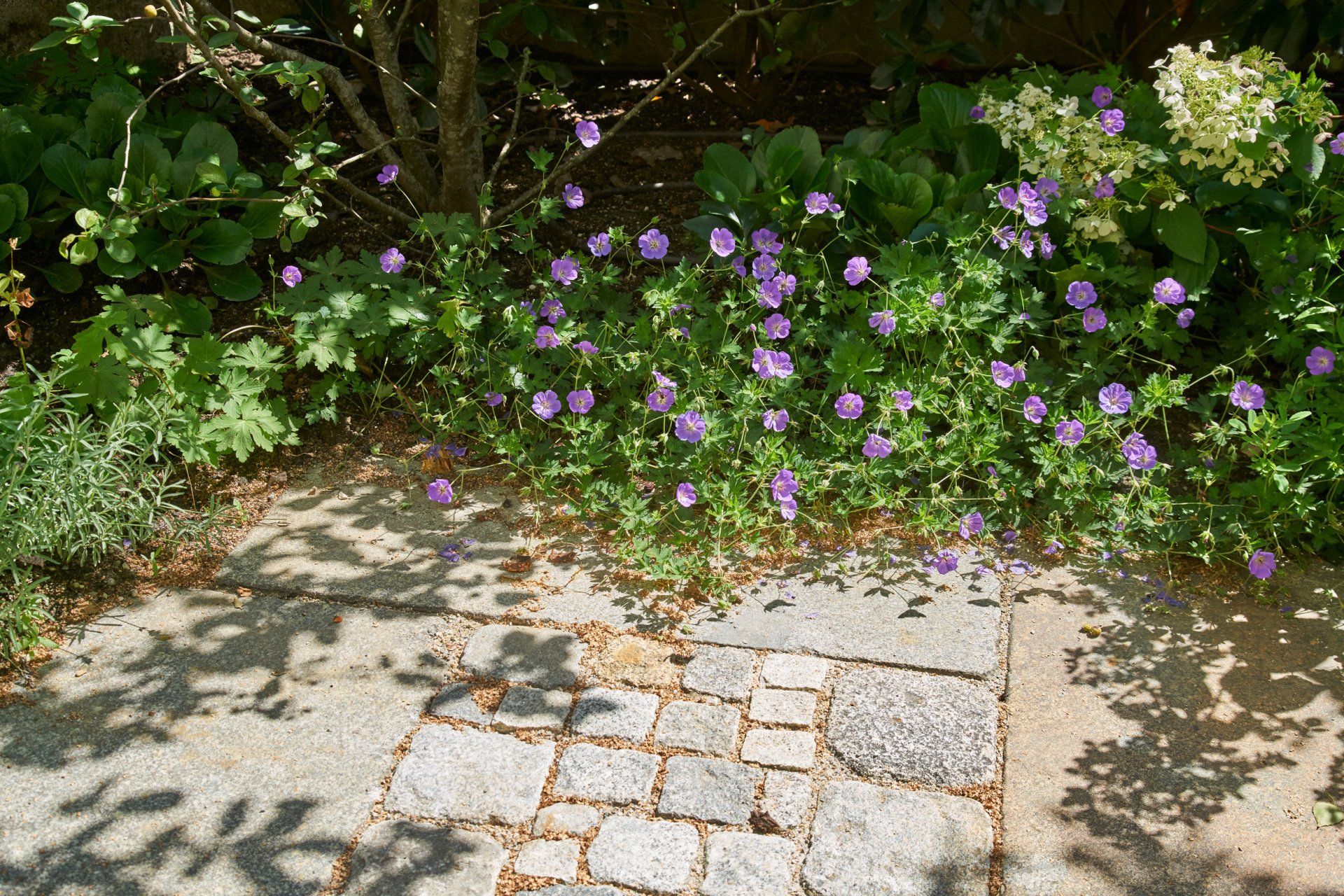 Sebastian Raschauer, Landschaftsarchitekt, Garten, Privatgarten,  Gartengestaltung, Umgestaltung, Neugestaltung, Bauantrag, Genehmigungsplanung, Werkplanung, Bauleitung, Projektleitung, Terrassen