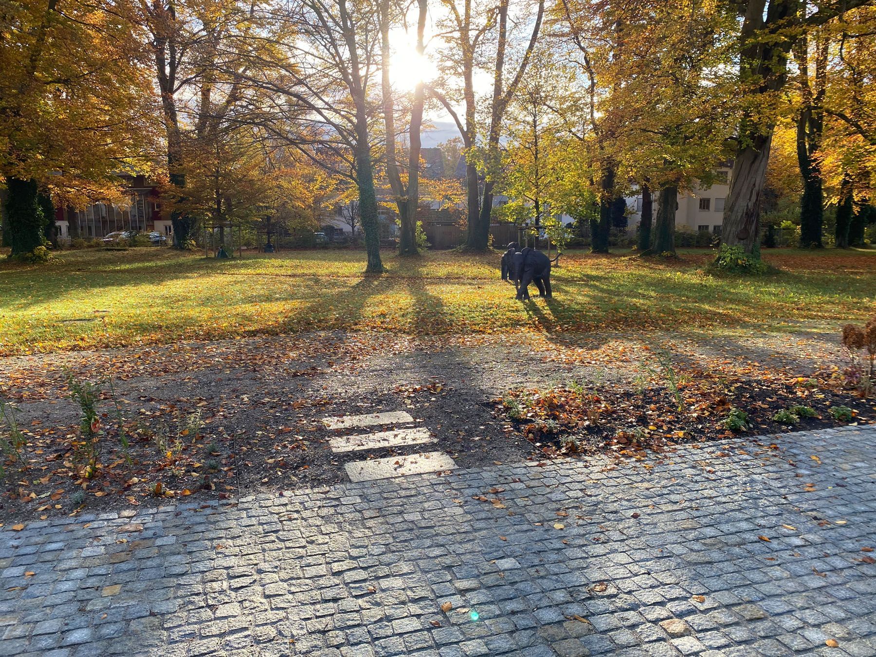 Sebastian Raschauer, Landschaftsarchitekt, Garten, Privatgarten,  Gartengestaltung, Umgestaltung, Neugestaltung, Bauantrag, Genehmigungsplanung, Werkplanung, Bauleitung, Projektleitung