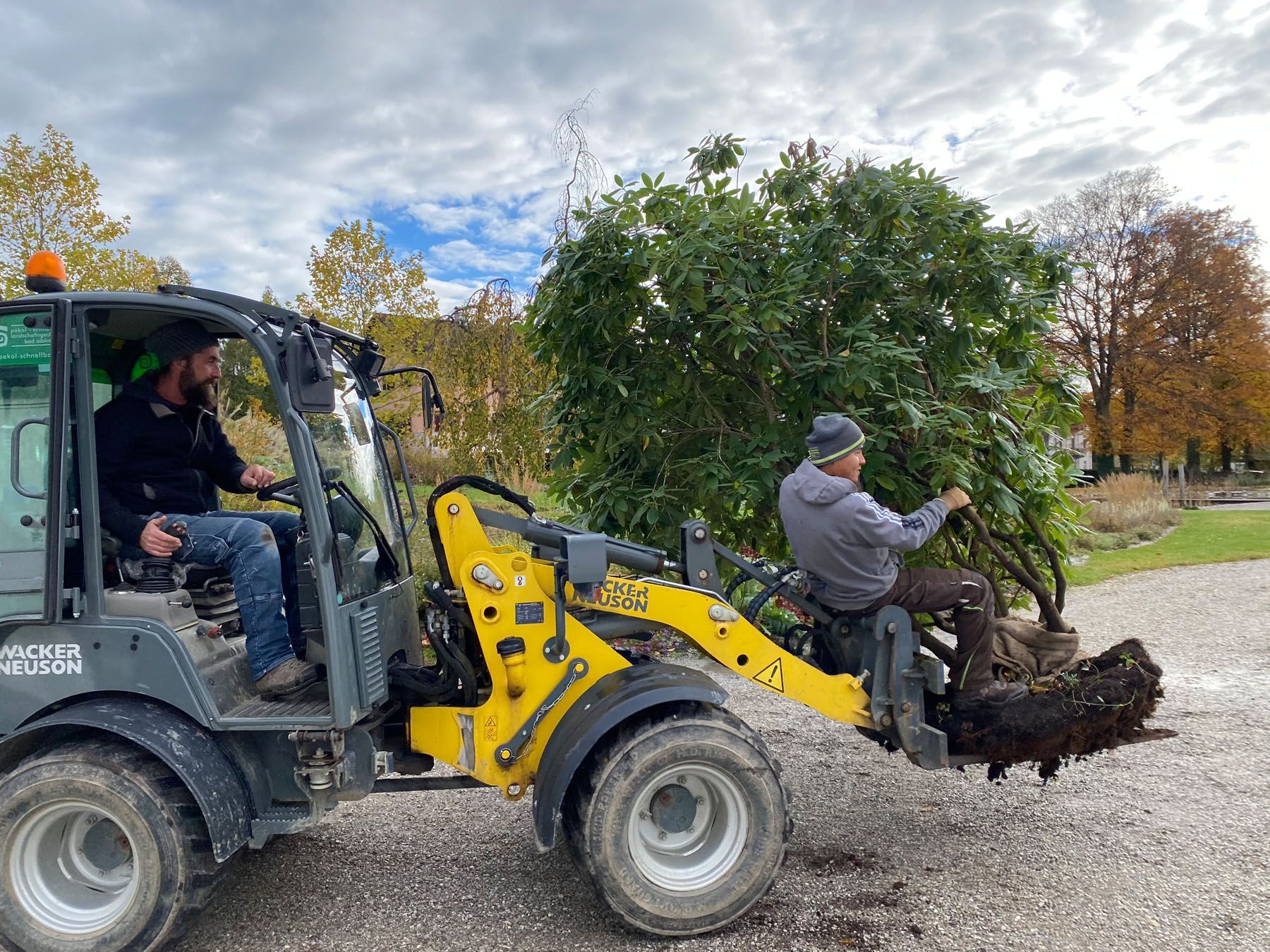 Sebastian Raschauer, Landschaftsarchitekt, Garten, Privatgarten,  Gartengestaltung, Umgestaltung, Neugestaltung, Bauantrag, Genehmigungsplanung, Werkplanung, Bauleitung, Projektleitung