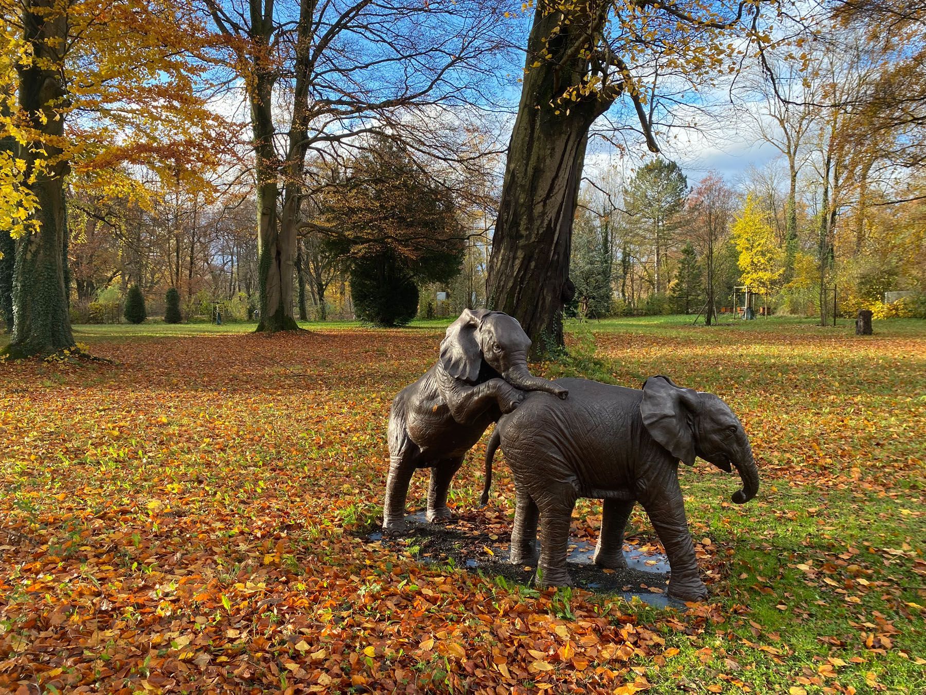 Sebastian Raschauer, Landschaftsarchitekt, Garten, Privatgarten,  Gartengestaltung, Umgestaltung, Neugestaltung, Bauantrag, Genehmigungsplanung, Werkplanung, Bauleitung, Projektleitung