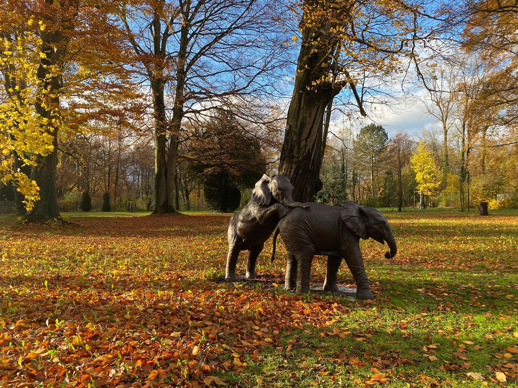 Sebastian Raschauer, Landschaftsarchitekt, Garten, Privatgarten,  Gartengestaltung, Umgestaltung, Neugestaltung, Bauantrag, Genehmigungsplanung, Werkplanung, Bauleitung, Projektleitung