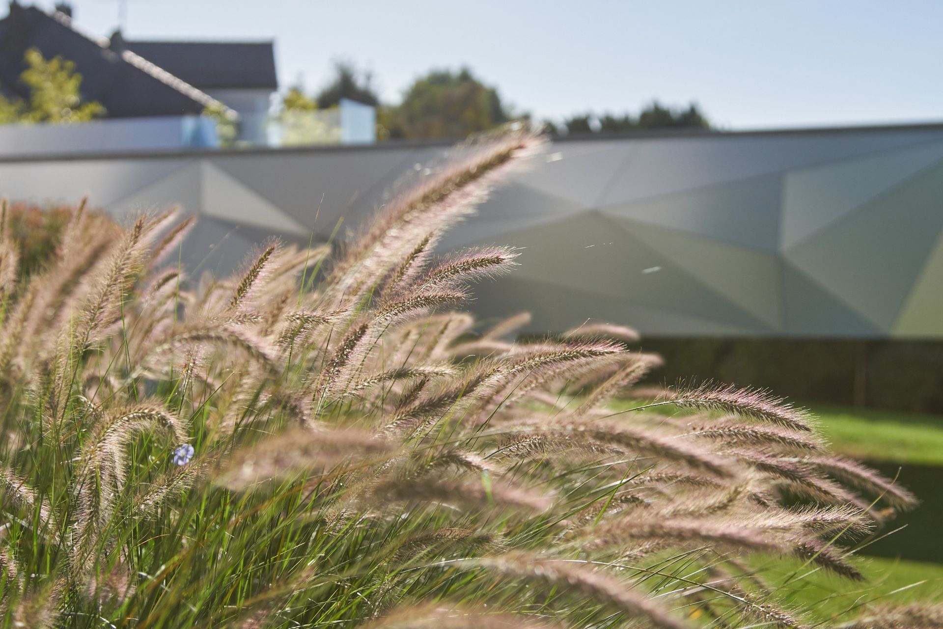 Sebastian Raschauer, Landschaftsarchitekt, Garten, Privatgarten,  Gartengestaltung, Umgestaltung, Neugestaltung, Bauantrag, Genehmigungsplanung, Werkplanung, Bauleitung, Projektleitung