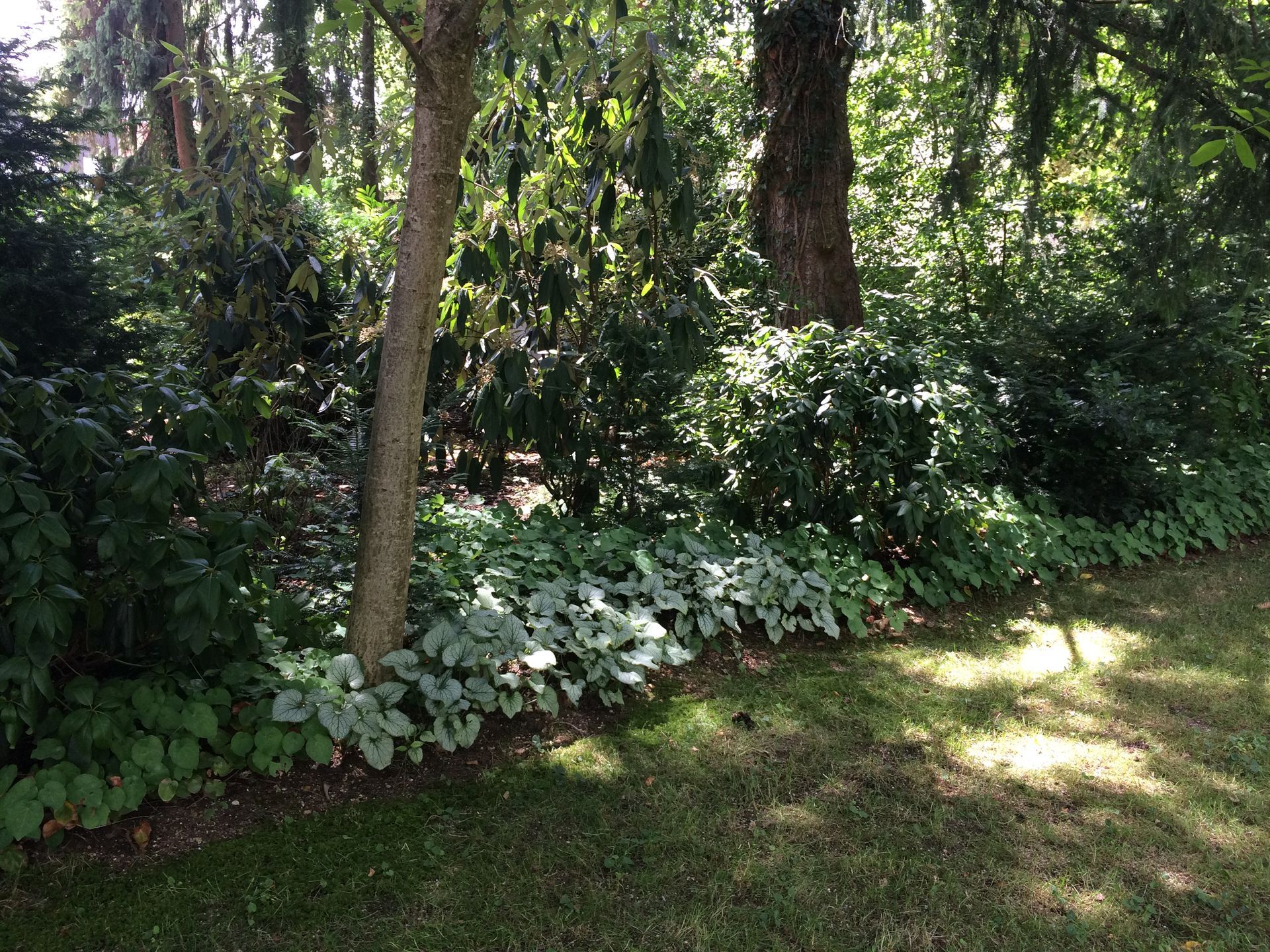 Sebastian Raschauer, Landschaftsarchitekt, Garten, Privatgarten,  Gartengestaltung, Umgestaltung, Neugestaltung, Bauantrag, Genehmigungsplanung, Werkplanung, Bauleitung, Projektleitung, Terrassen