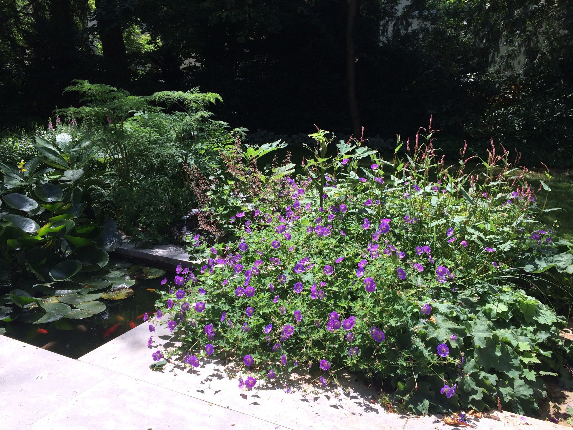 Sebastian Raschauer, Landschaftsarchitekt, Garten, Privatgarten,  Gartengestaltung, Umgestaltung, Neugestaltung, Bauantrag, Genehmigungsplanung, Werkplanung, Bauleitung, Projektleitung, Terrassen