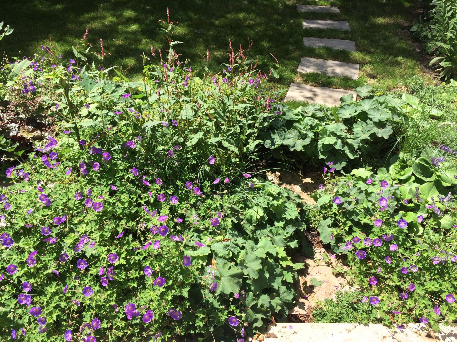 Sebastian Raschauer, Landschaftsarchitekt, Garten, Privatgarten,  Gartengestaltung, Umgestaltung, Neugestaltung, Bauantrag, Genehmigungsplanung, Werkplanung, Bauleitung, Projektleitung, Terrassen