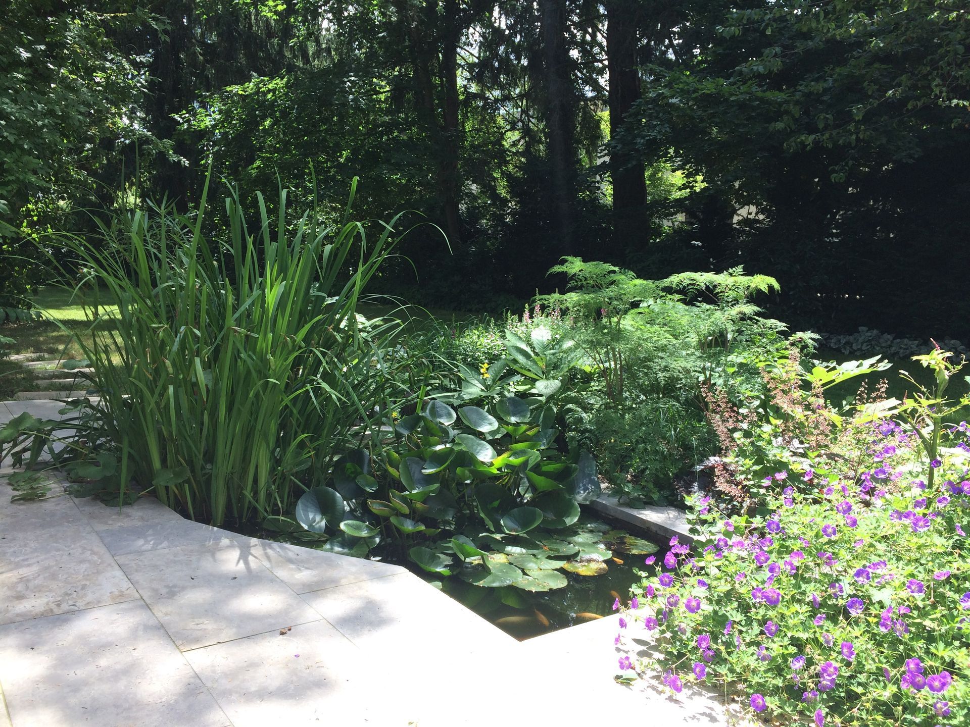 Sebastian Raschauer, Landschaftsarchitekt, Garten, Privatgarten,  Gartengestaltung, Umgestaltung, Neugestaltung, Bauantrag, Genehmigungsplanung, Werkplanung, Bauleitung, Projektleitung, Terrassen