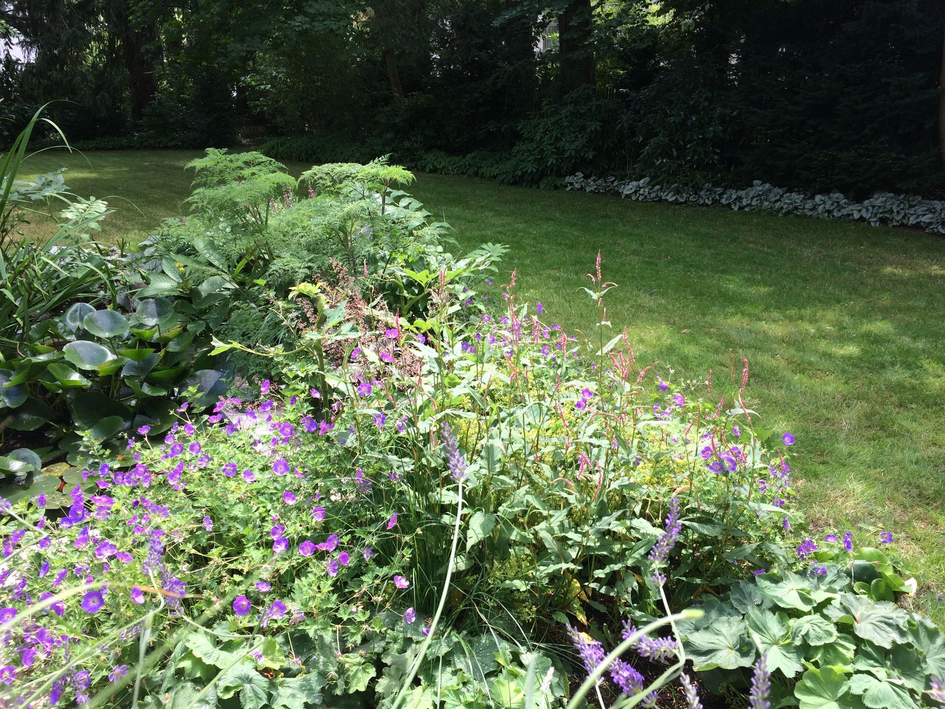 Sebastian Raschauer, Landschaftsarchitekt, Garten, Privatgarten,  Gartengestaltung, Umgestaltung, Neugestaltung, Bauantrag, Genehmigungsplanung, Werkplanung, Bauleitung, Projektleitung, Terrassen