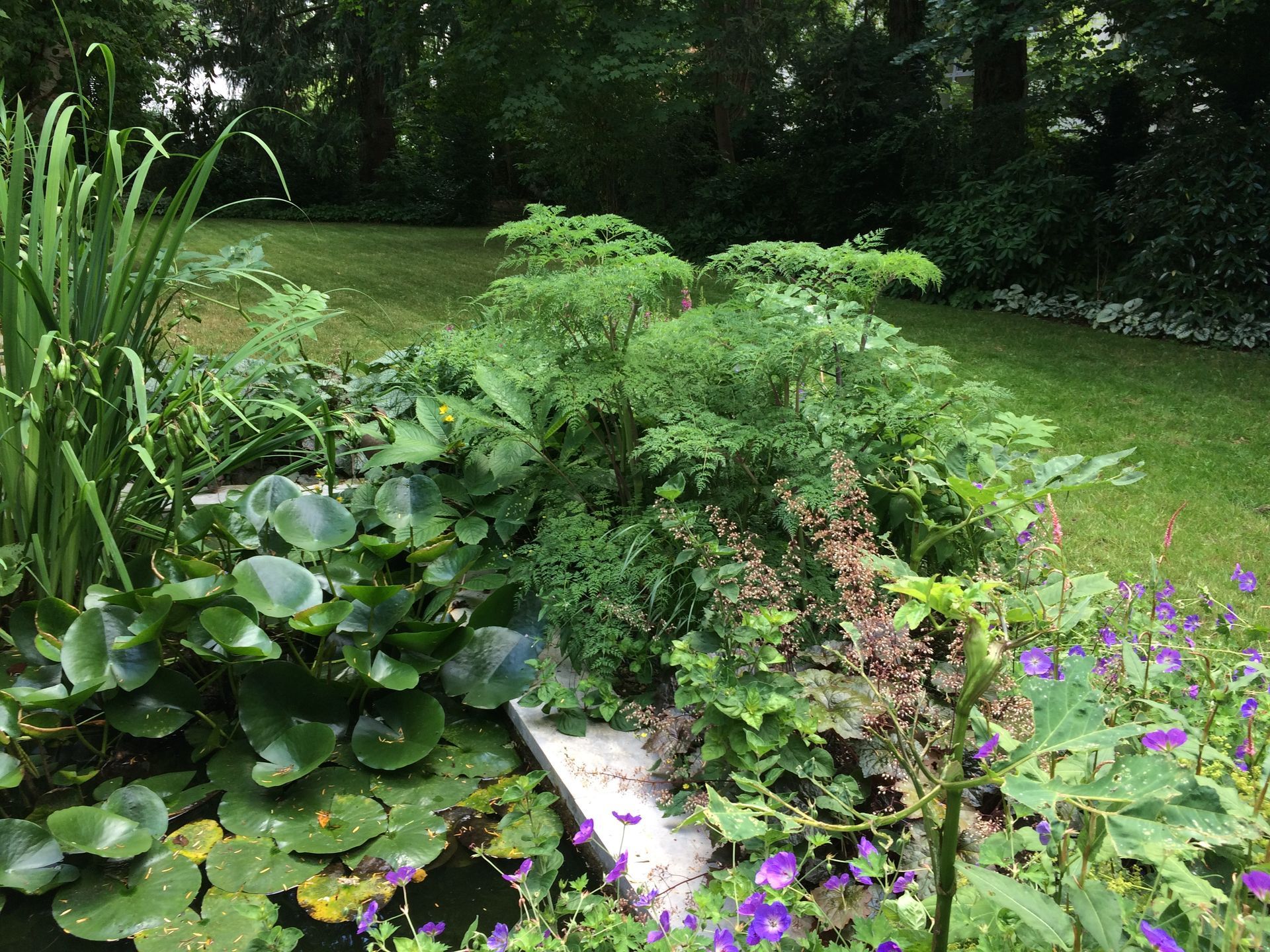 Sebastian Raschauer, Landschaftsarchitekt, Garten, Privatgarten,  Gartengestaltung, Umgestaltung, Neugestaltung, Bauantrag, Genehmigungsplanung, Werkplanung, Bauleitung, Projektleitung, Terrassen