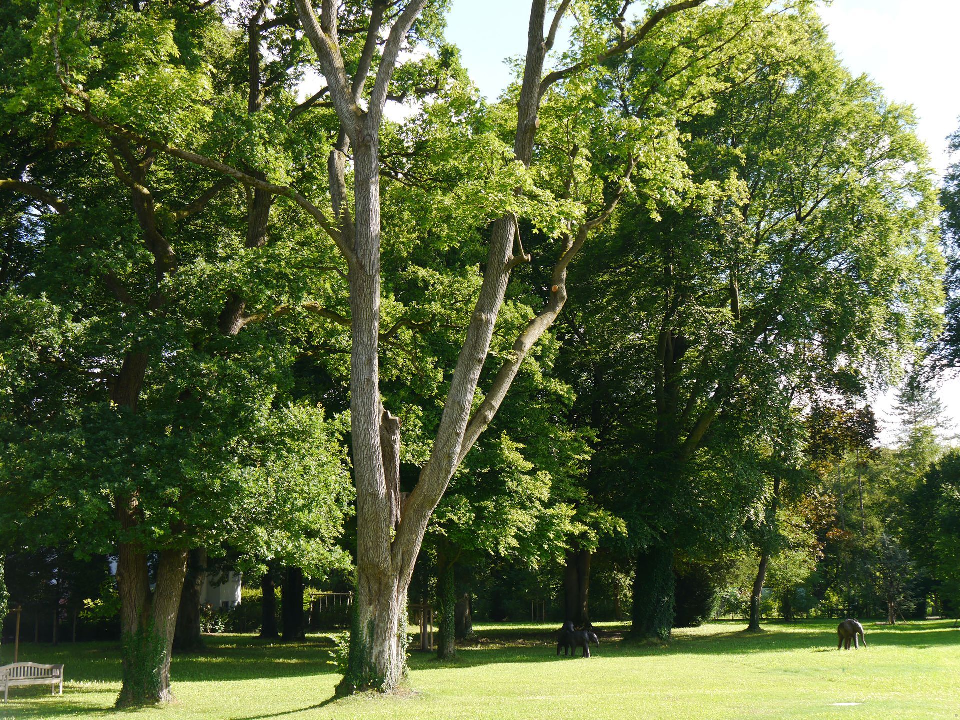 Sebastian Raschauer, Landschaftsarchitekt, Garten, Privatgarten,  Gartengestaltung, Umgestaltung, Neugestaltung, Bauantrag, Genehmigungsplanung, Werkplanung, Bauleitung, Projektleitung, Terrassen