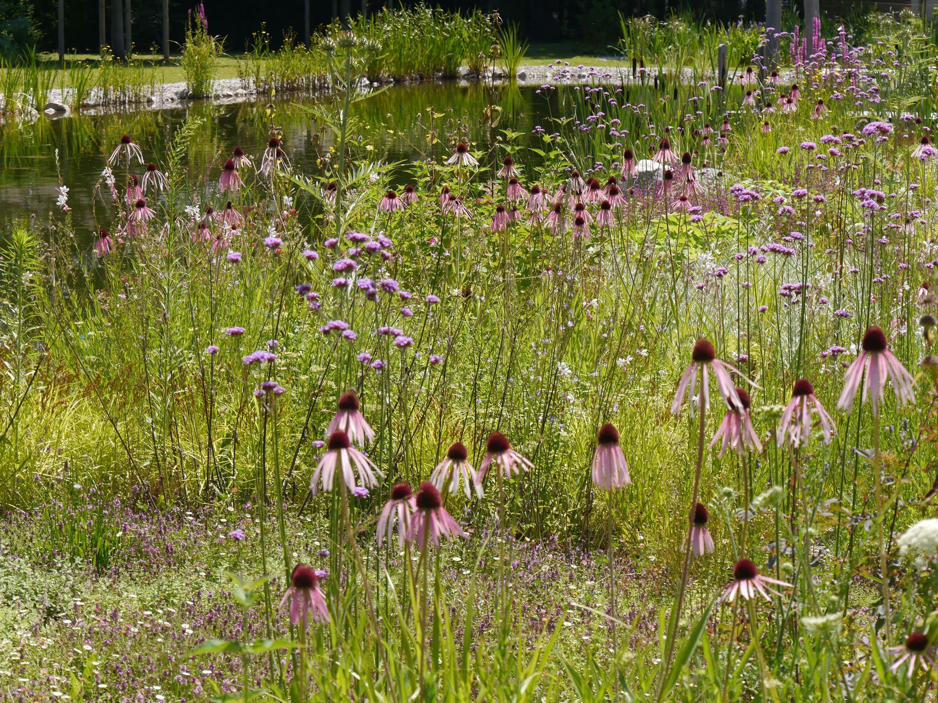 Sebastian Raschauer, Landschaftsarchitekt, Garten, Privatgarten,  Gartengestaltung, Umgestaltung, Neugestaltung, Bauantrag, Genehmigungsplanung, Werkplanung, Bauleitung, Projektleitung, Terrassen