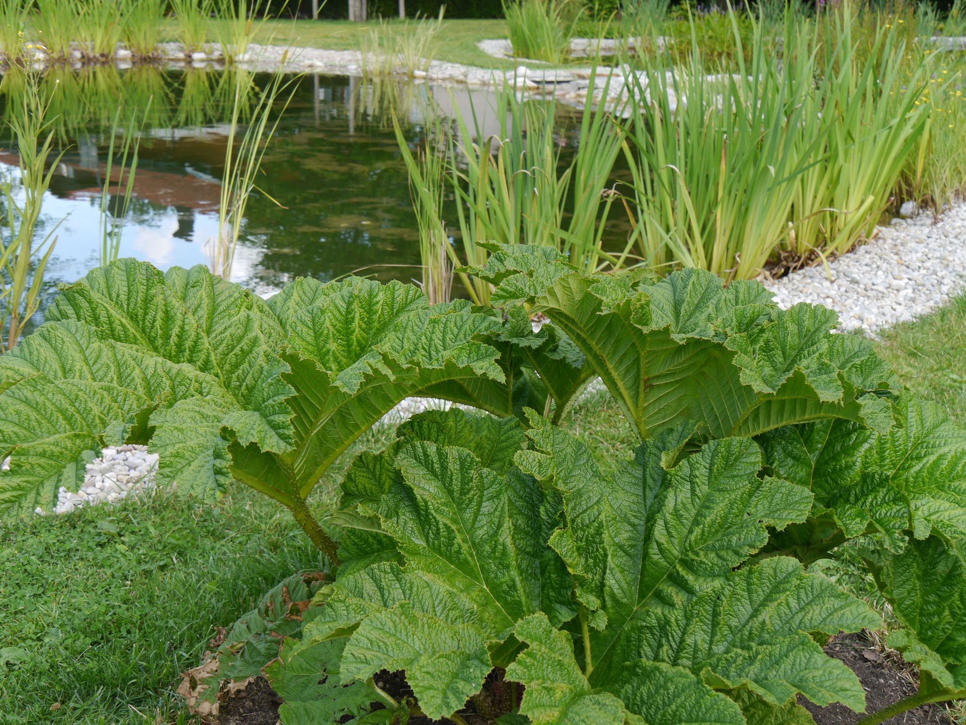 Sebastian Raschauer, Landschaftsarchitekt, Garten, Privatgarten,  Gartengestaltung, Umgestaltung, Neugestaltung, Bauantrag, Genehmigungsplanung, Werkplanung, Bauleitung, Projektleitung, Terrassen