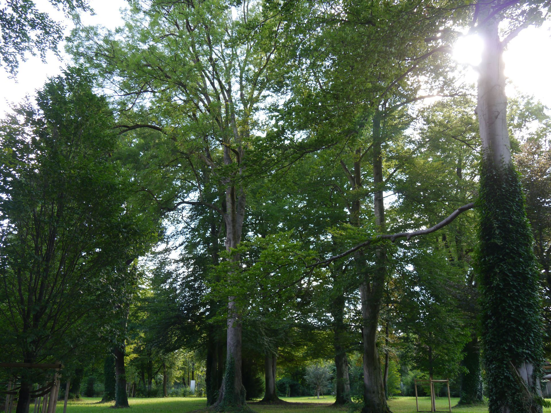 Sebastian Raschauer, Landschaftsarchitekt, Garten, Privatgarten,  Gartengestaltung, Umgestaltung, Neugestaltung, Bauantrag, Genehmigungsplanung, Werkplanung, Bauleitung, Projektleitung, Terrassen