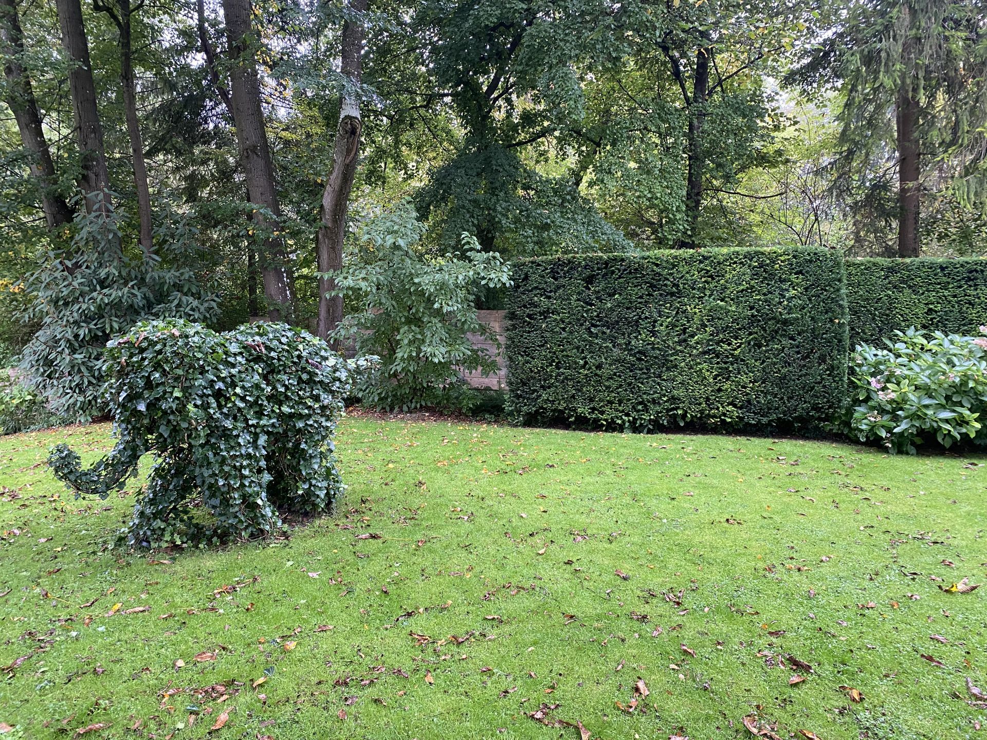Sebastian Raschauer, Landschaftsarchitekt, Garten, Privatgarten,  Gartengestaltung, Umgestaltung, Neugestaltung, Bauantrag, Genehmigungsplanung, Werkplanung, Bauleitung, Projektleitung, Terrassen