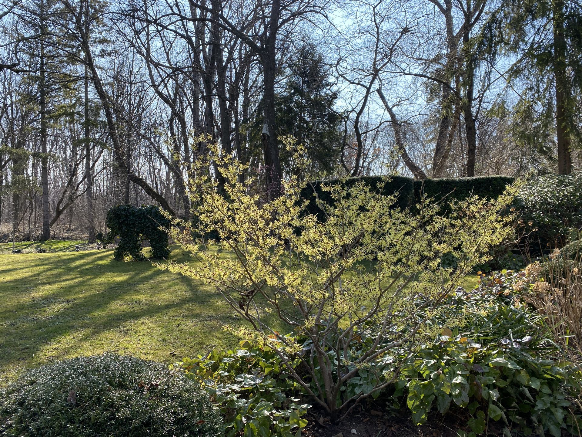 Sebastian Raschauer, Landschaftsarchitekt, Garten, Privatgarten,  Gartengestaltung, Umgestaltung, Neugestaltung, Bauantrag, Genehmigungsplanung, Werkplanung, Bauleitung, Projektleitung, Terrassen