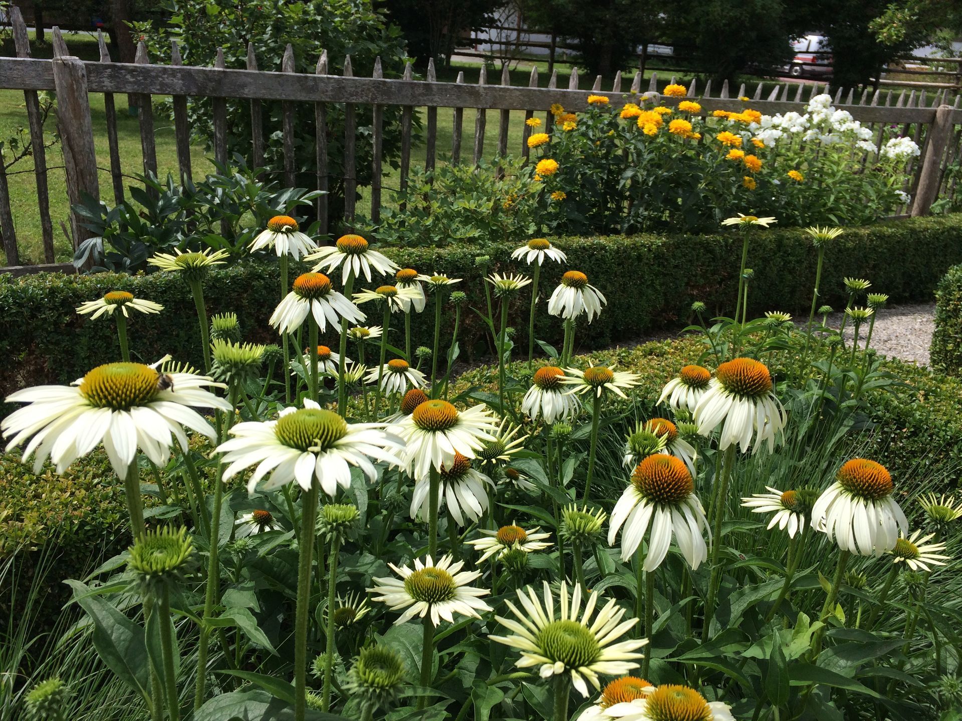 Sebastian Raschauer, Landschaftsarchitekt, Garten, Privatgarten,  Gartengestaltung, Umgestaltung, Neugestaltung, Bauantrag, Genehmigungsplanung, Werkplanung, Bauleitung, Projektleitung, Terrassen