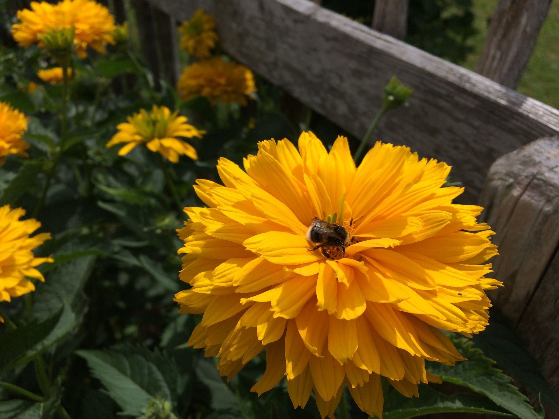 Sebastian Raschauer, Landschaftsarchitekt, Garten, Privatgarten,  Gartengestaltung, Umgestaltung, Neugestaltung, Bauantrag, Genehmigungsplanung, Werkplanung, Bauleitung, Projektleitung, Terrassen