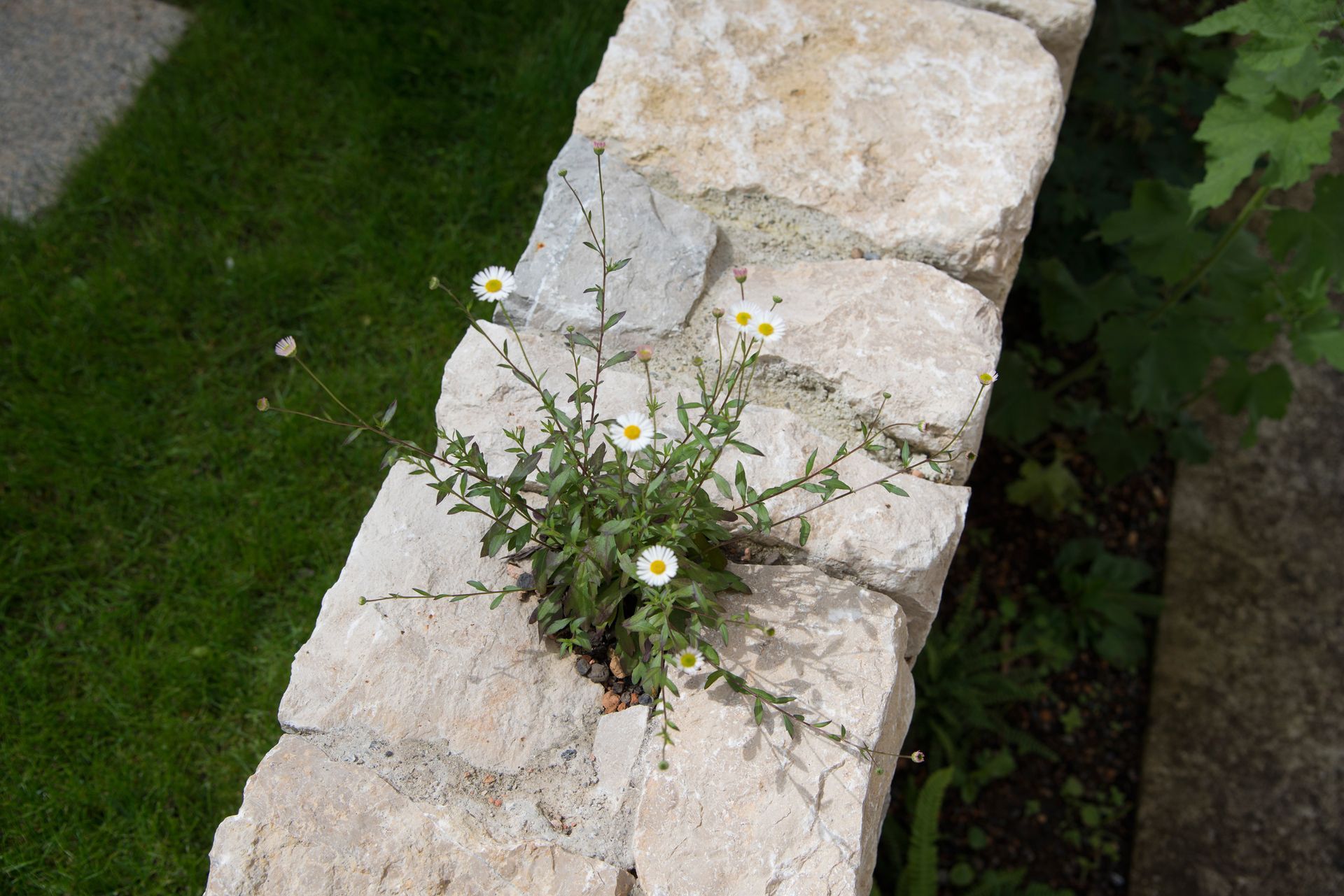 Sebastian Raschauer, Landschaftsarchitekt, Garten, Privatgarten,  Gartengestaltung, Umgestaltung, Neugestaltung, Bauantrag, Genehmigungsplanung, Werkplanung, Bauleitung, Projektleitung, Terrassen
