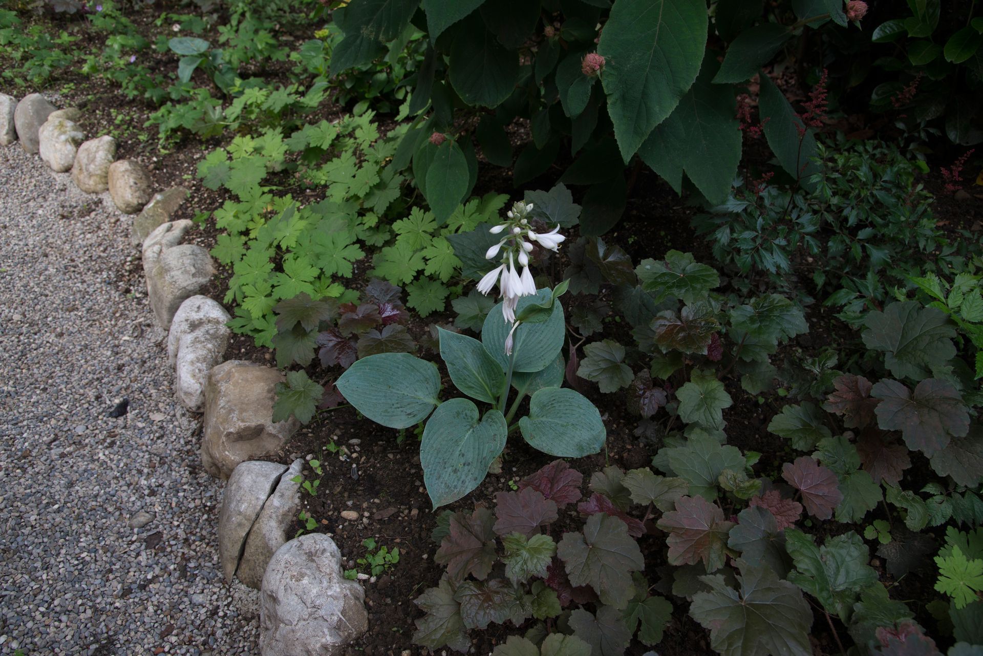 Sebastian Raschauer, Landschaftsarchitekt, Garten, Privatgarten,  Gartengestaltung, Umgestaltung, Neugestaltung, Bauantrag, Genehmigungsplanung, Werkplanung, Bauleitung, Projektleitung, Terrassen