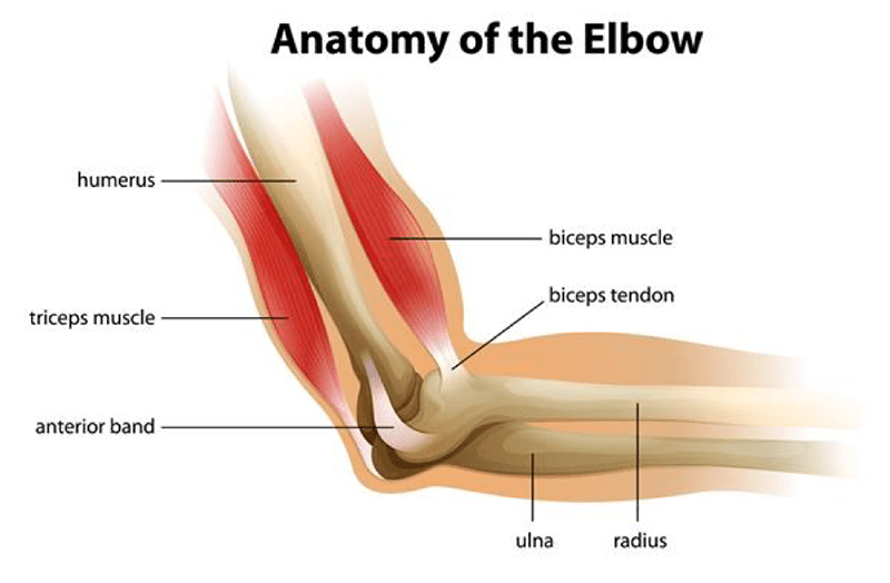 Climber's Elbow