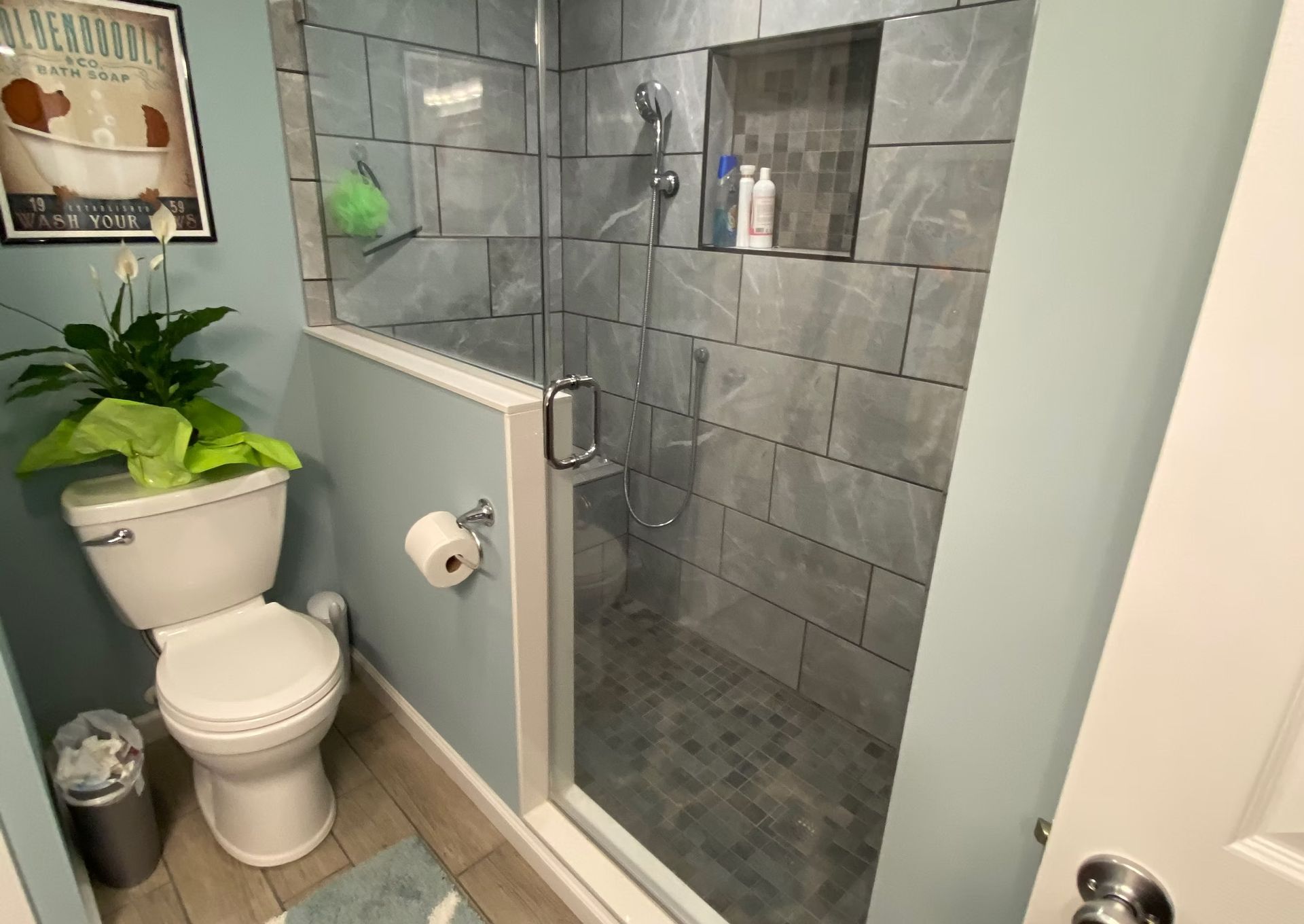 A bathroom with a toilet and a walk in shower.