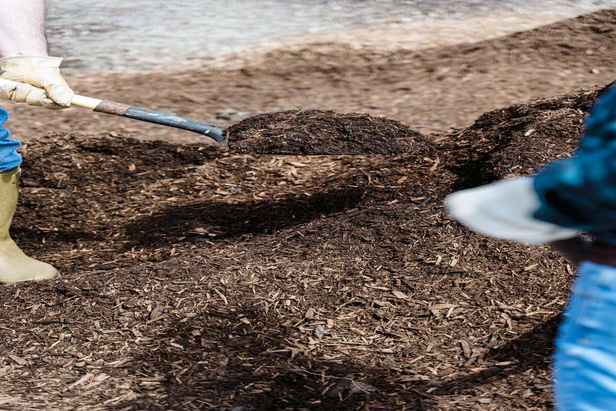 A person is digging in the dirt with a shovel.