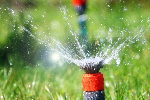 A close up of a sprinkler spraying water on a lush green lawn.