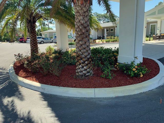 A palm tree is surrounded by mulch and flowers in front of a building.