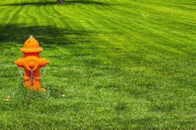 Orange fire hydrant in a grassy area with tree shadow.