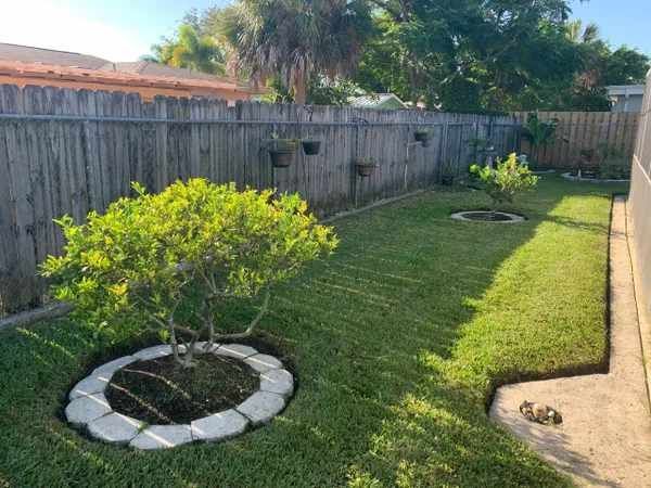 A backyard with a wooden fence and a tree in the middle of it.