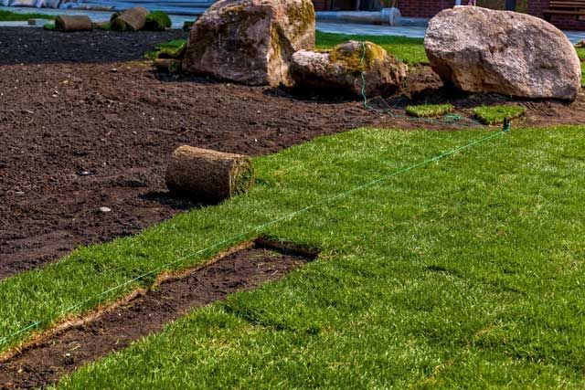 A roll of turf is sitting on top of a lush green lawn.
