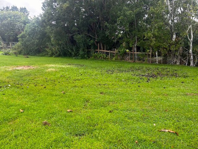 A lush green field with trees and a wooden fence in the background.