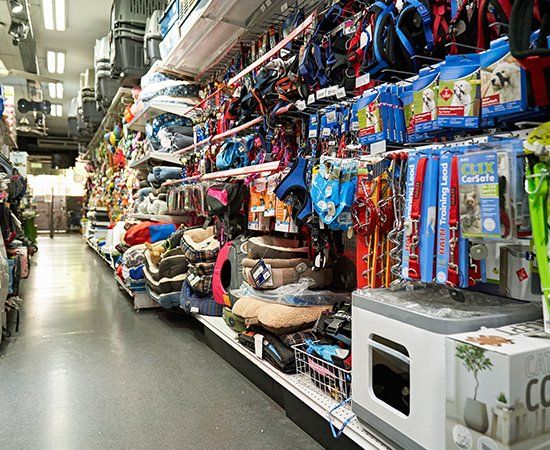 Pet Shop — East Orange, NJ — Animal Kingdom