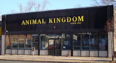 Pet Shop Supplies East Orange NJ Animal Kingdom