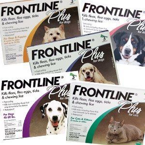 Frontline Plus For Dogs — East Orange, NJ — Animal Kingdom